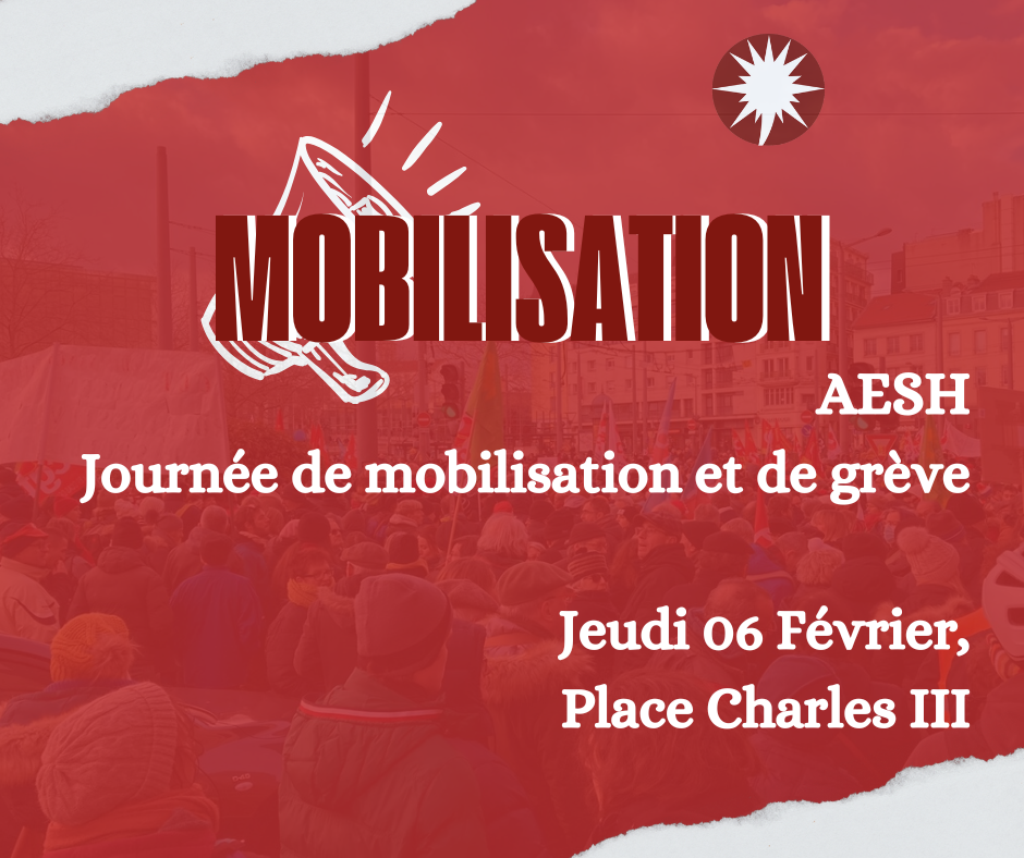 AESH : Journée de mobilisation et de grève pour les 20 ans de la loi “handicap”